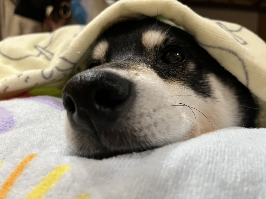 ユーザー写真