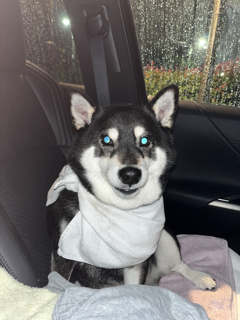 ユーザー写真