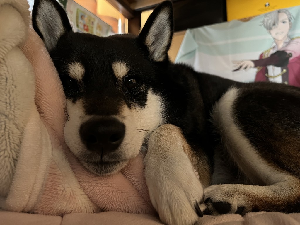 ユーザー写真