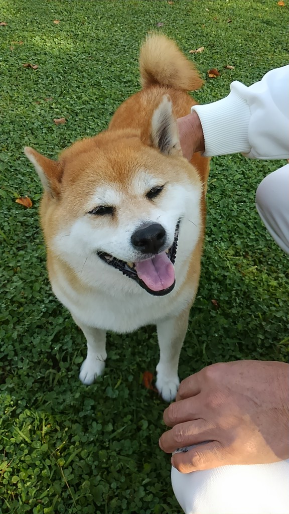 ユーザー写真