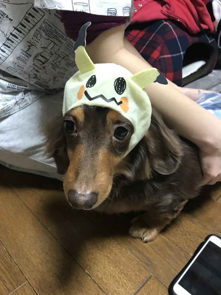 ユーザー写真