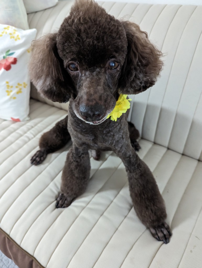 ユーザー写真