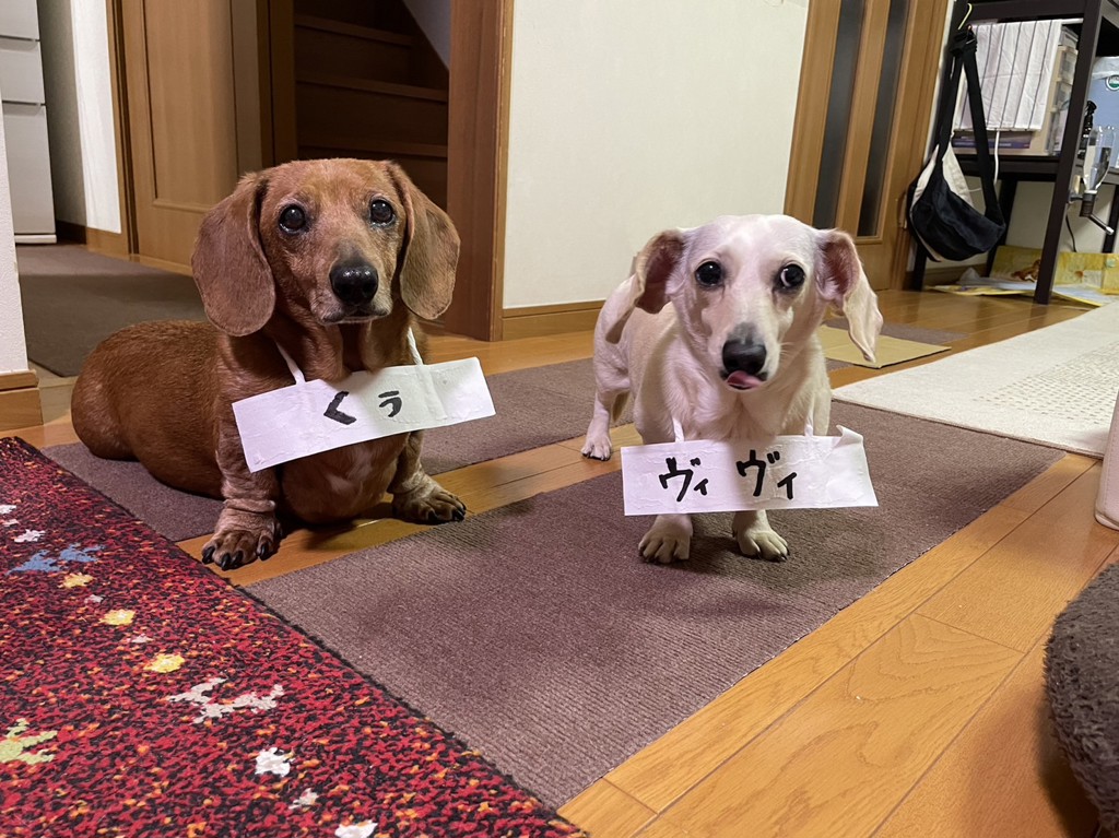投稿写真