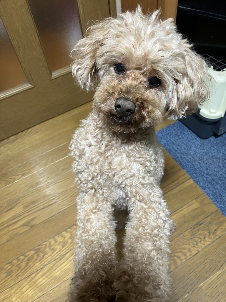 投稿写真