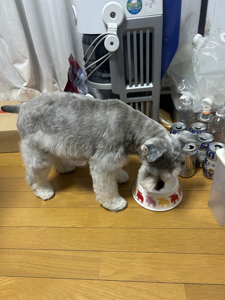 投稿写真