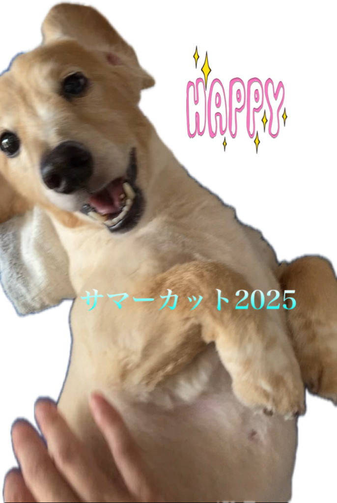 投稿写真