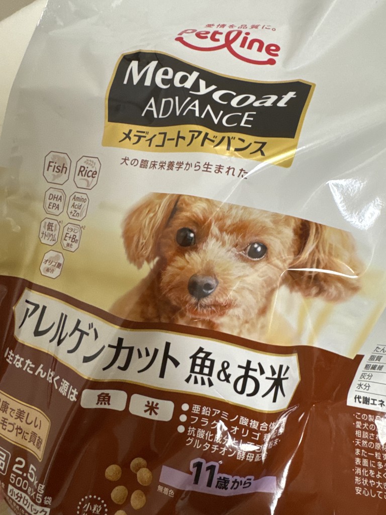 投稿写真