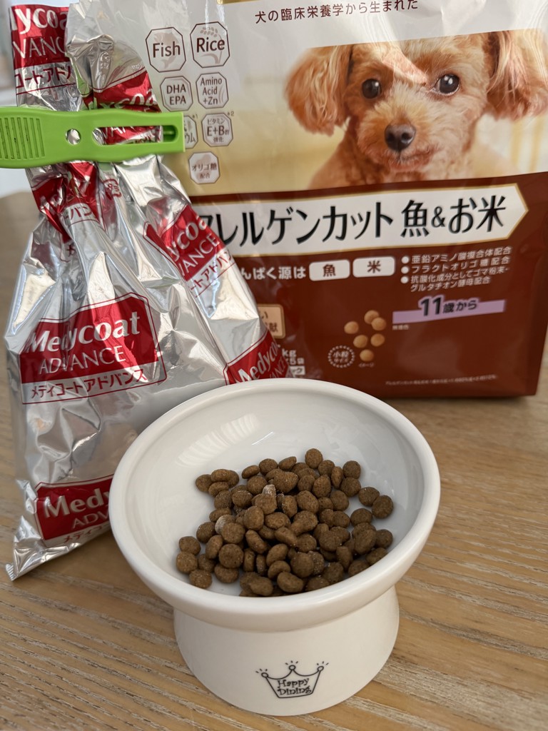 投稿写真