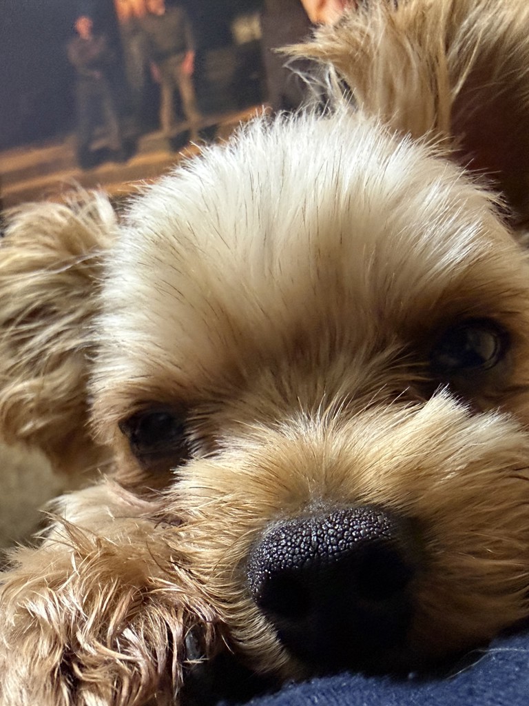 ユーザー写真