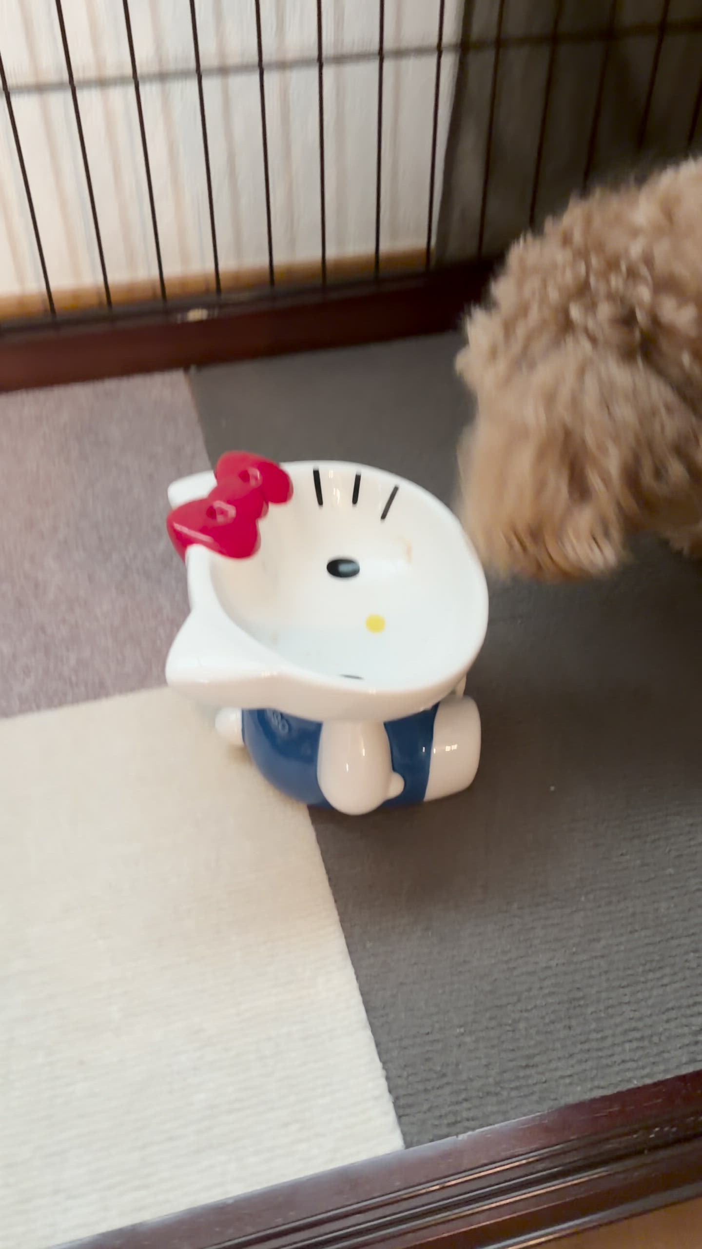 サンリオハウス　フードボウル　キティ CAT＆DOG】ハイスタンドフードボウル(ペットその他) │sanrio house