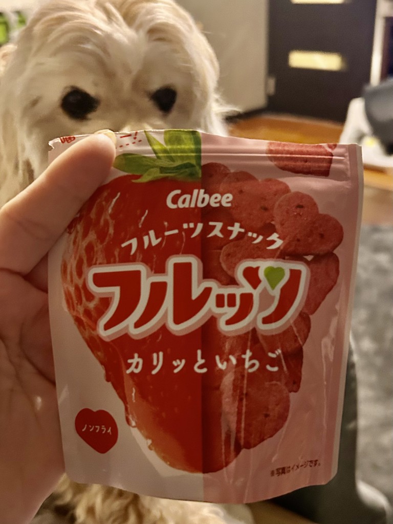ユーザー写真