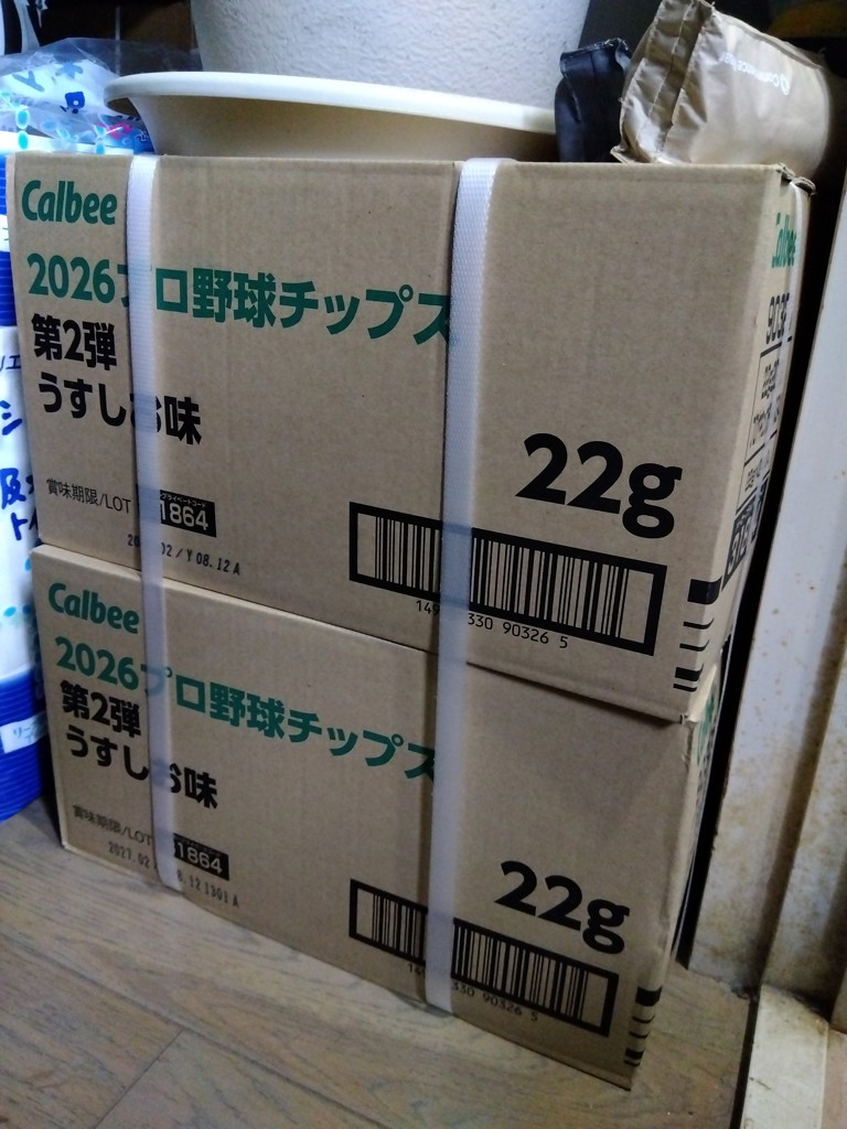 投稿写真