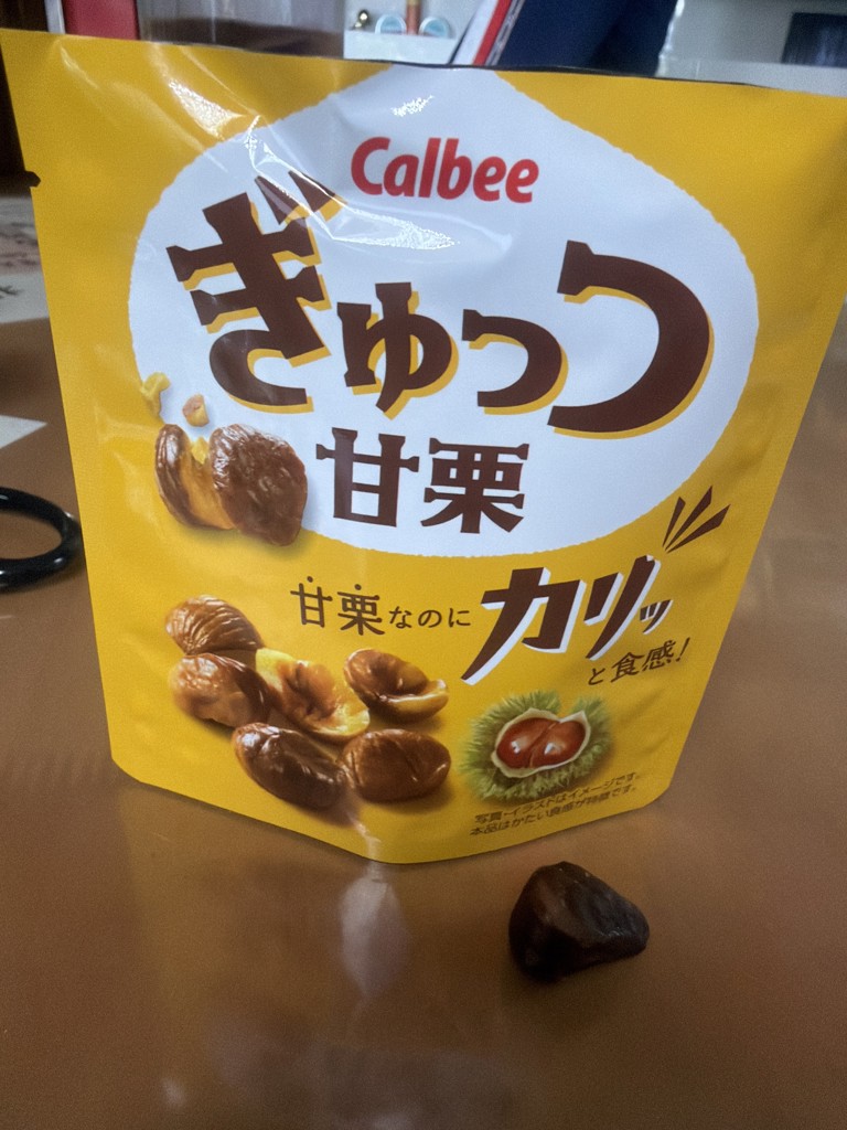 投稿写真