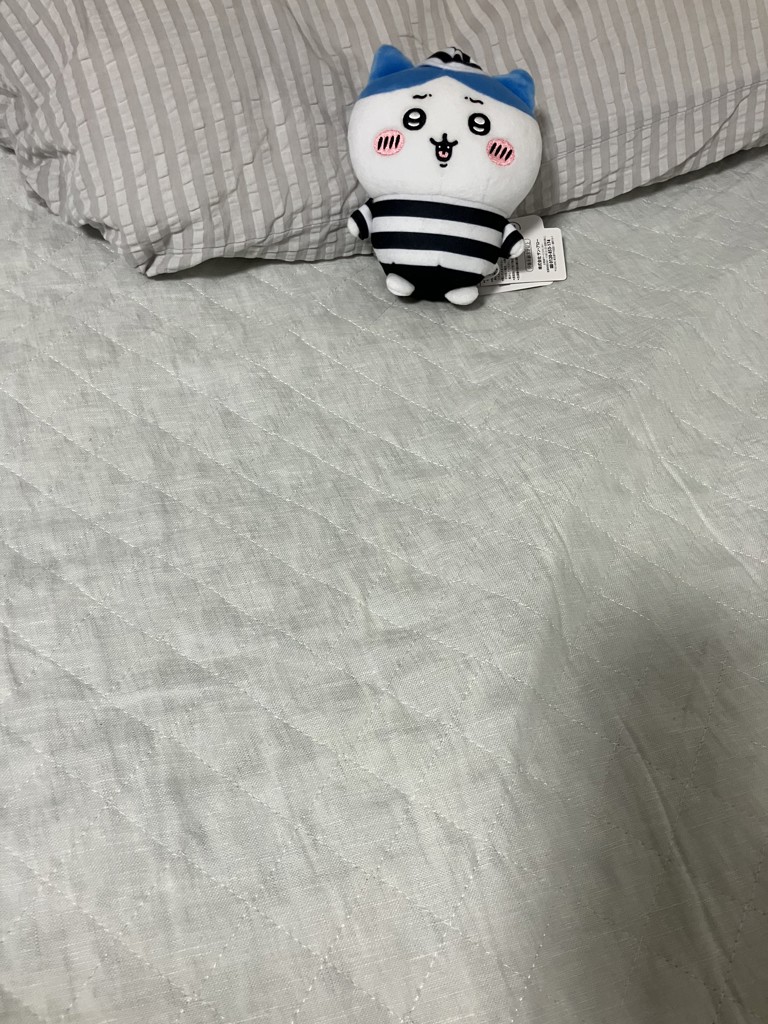 ユーザー写真