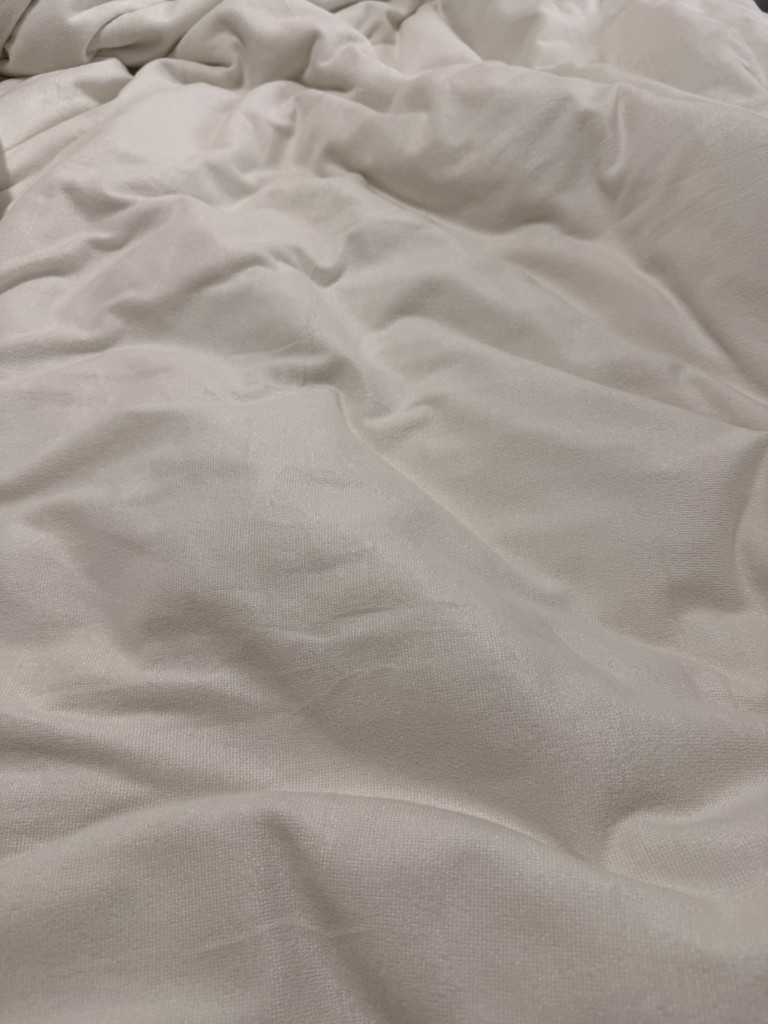 投稿写真