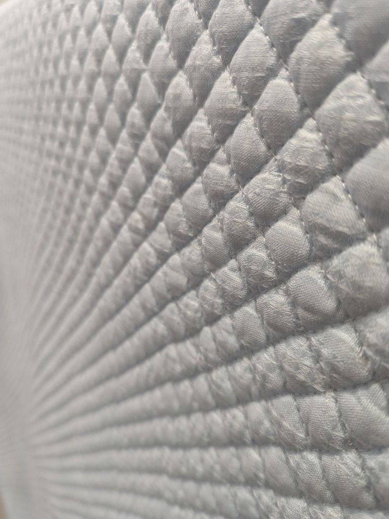 投稿写真