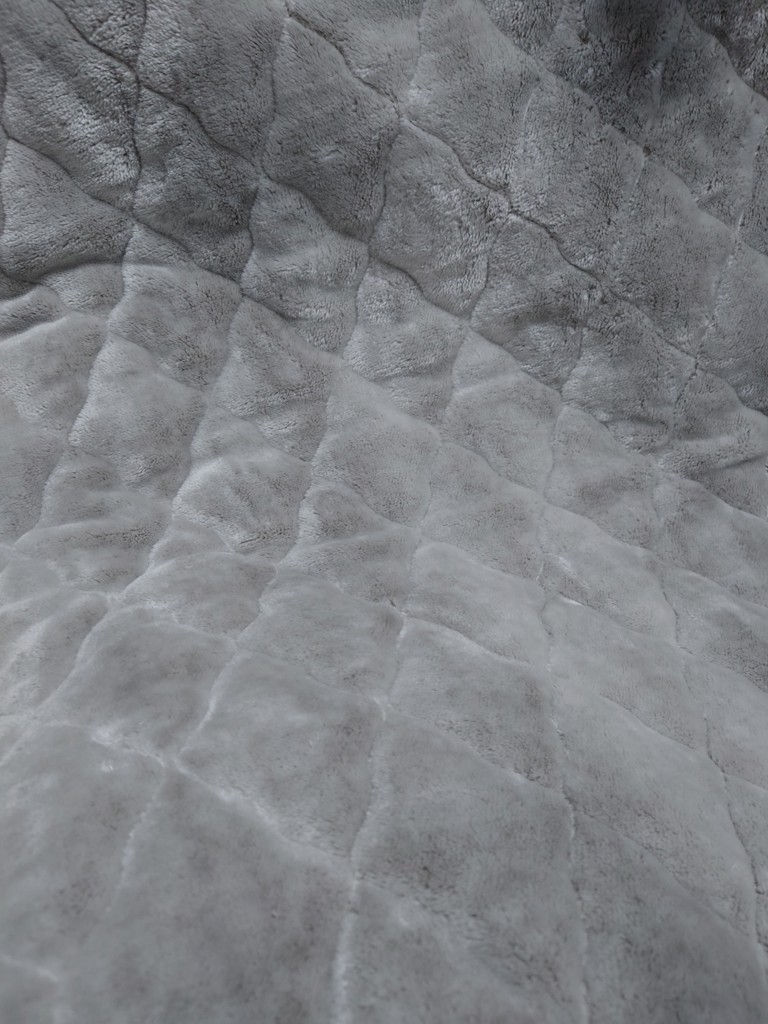 投稿写真