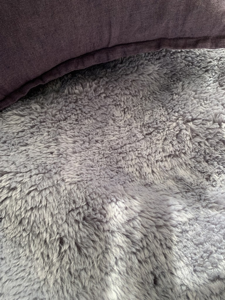 投稿写真
