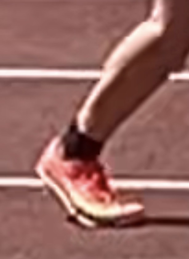 投稿写真