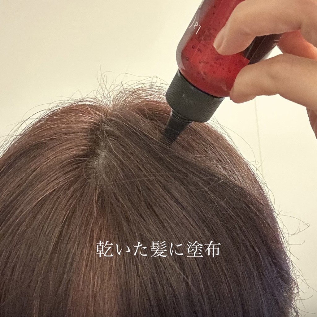 投稿写真