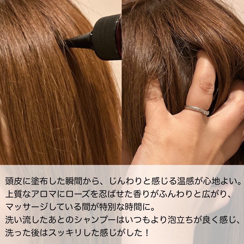 投稿写真