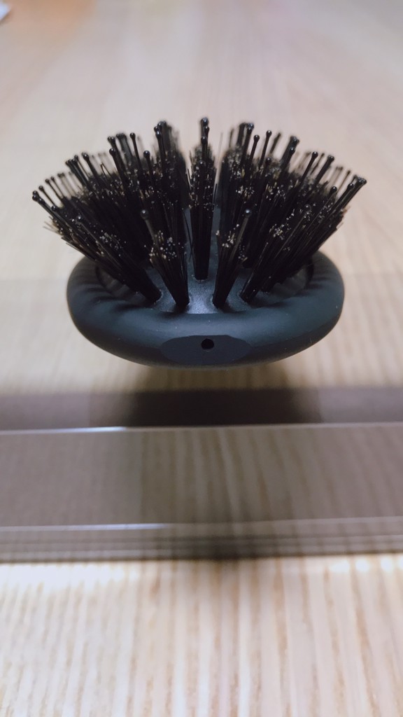 投稿写真