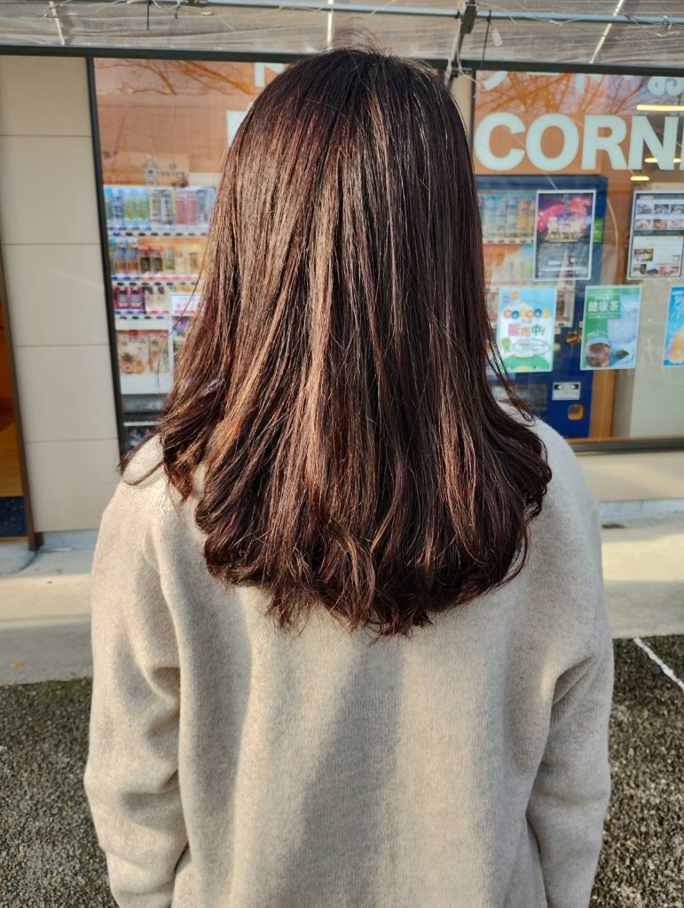 投稿写真