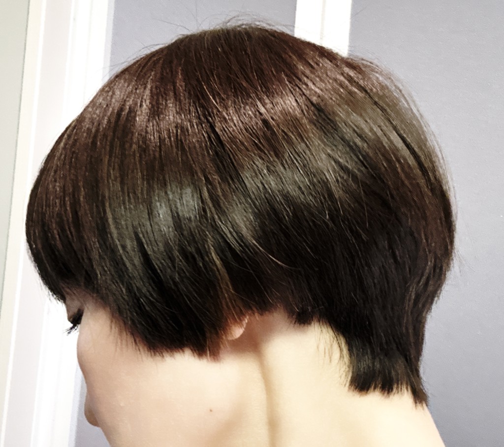 投稿写真