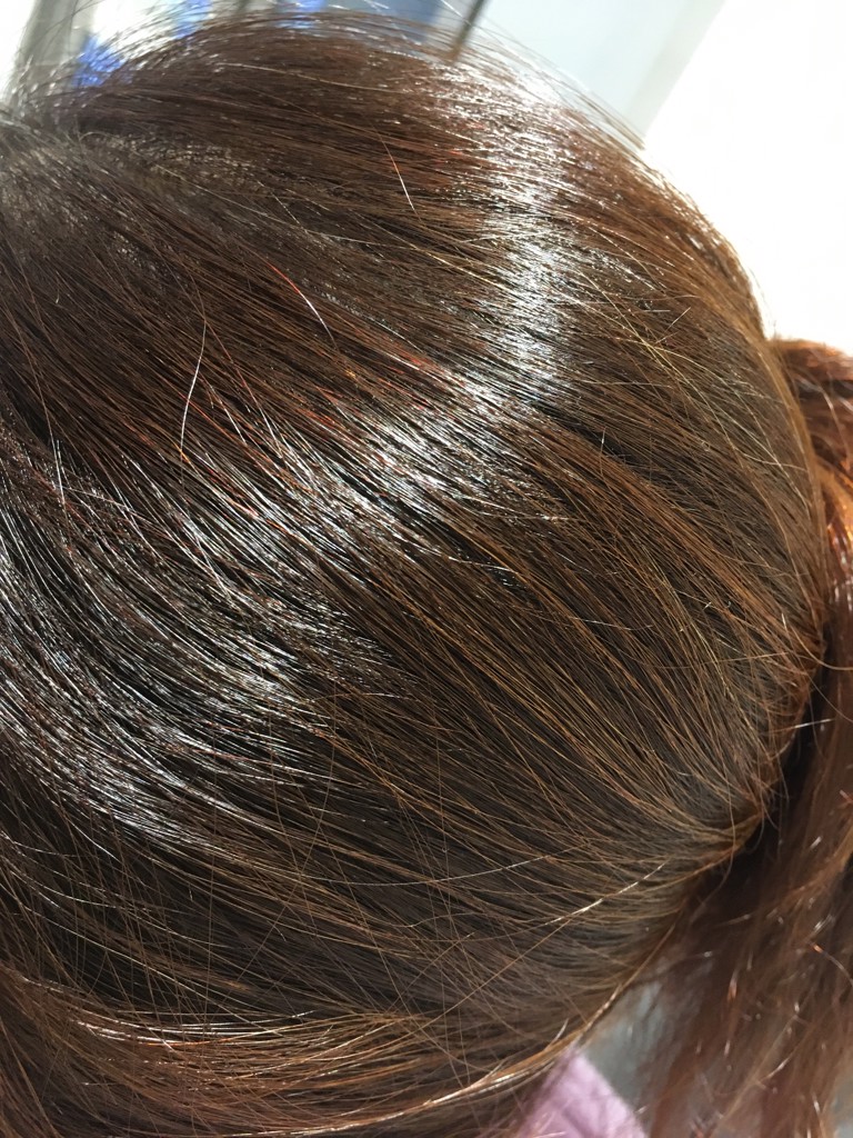 投稿写真