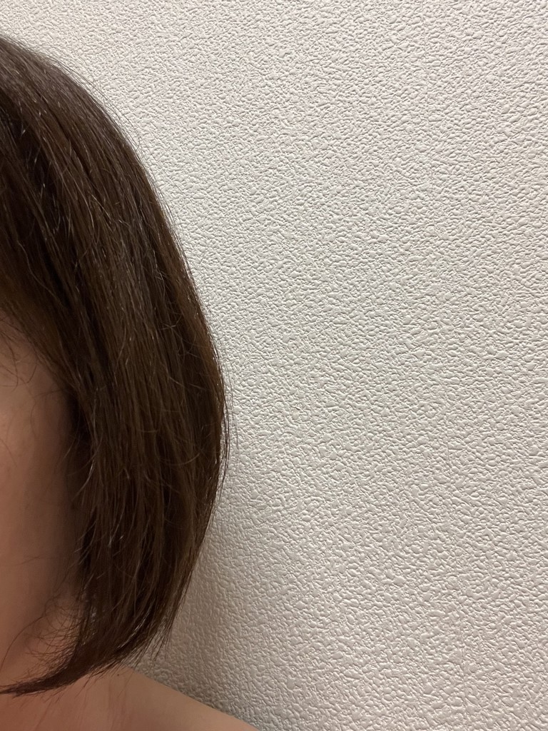 投稿写真