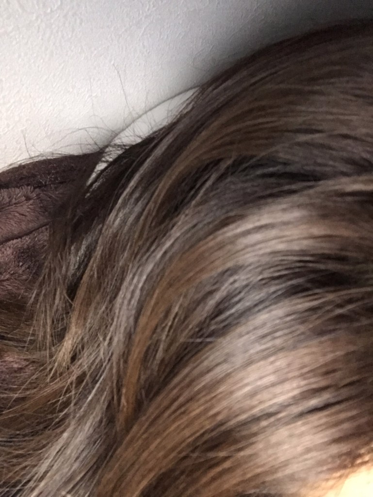 投稿写真