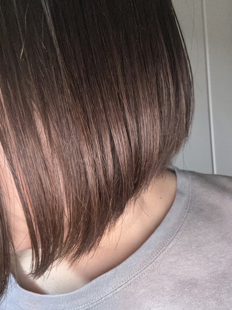 投稿写真