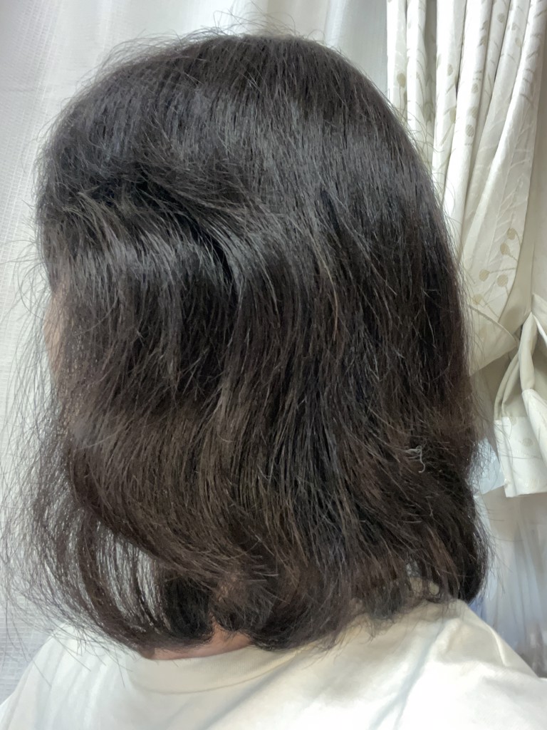 投稿写真