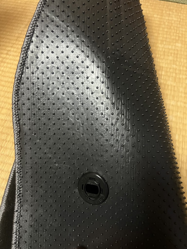 投稿写真