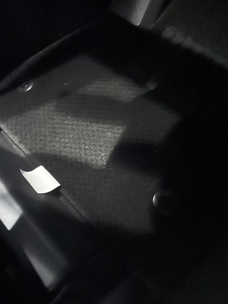 投稿写真
