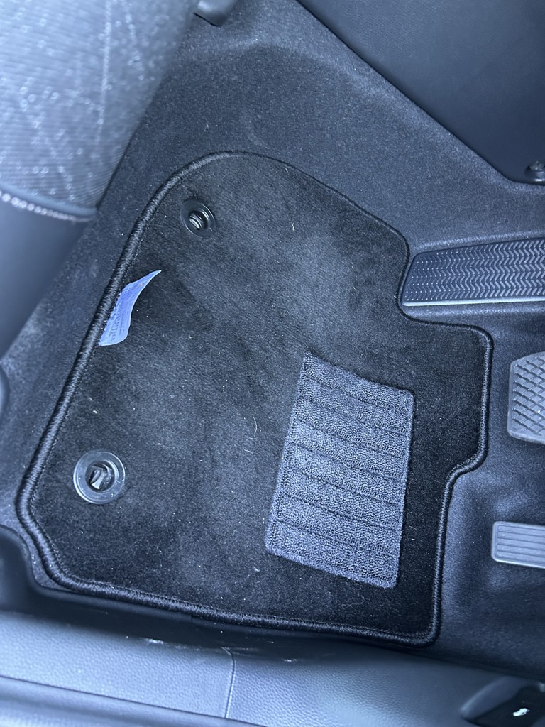 投稿写真