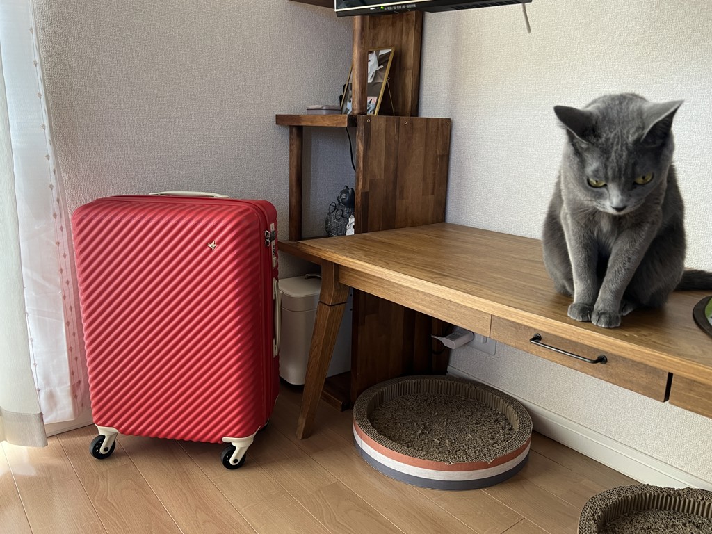 ユーザー写真