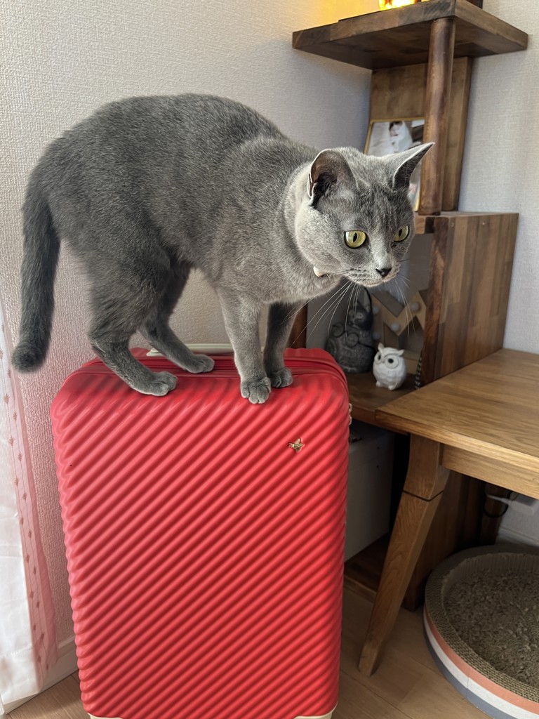 ユーザー写真