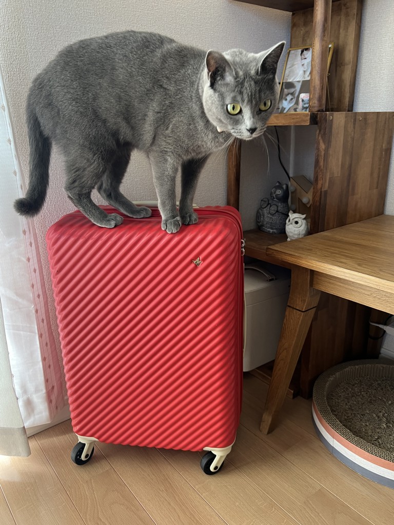 ユーザー写真