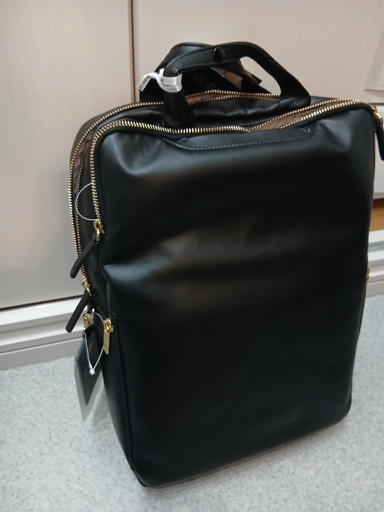 ace.／エース フィッテムクラス ビジネスリュック レディースビジネス