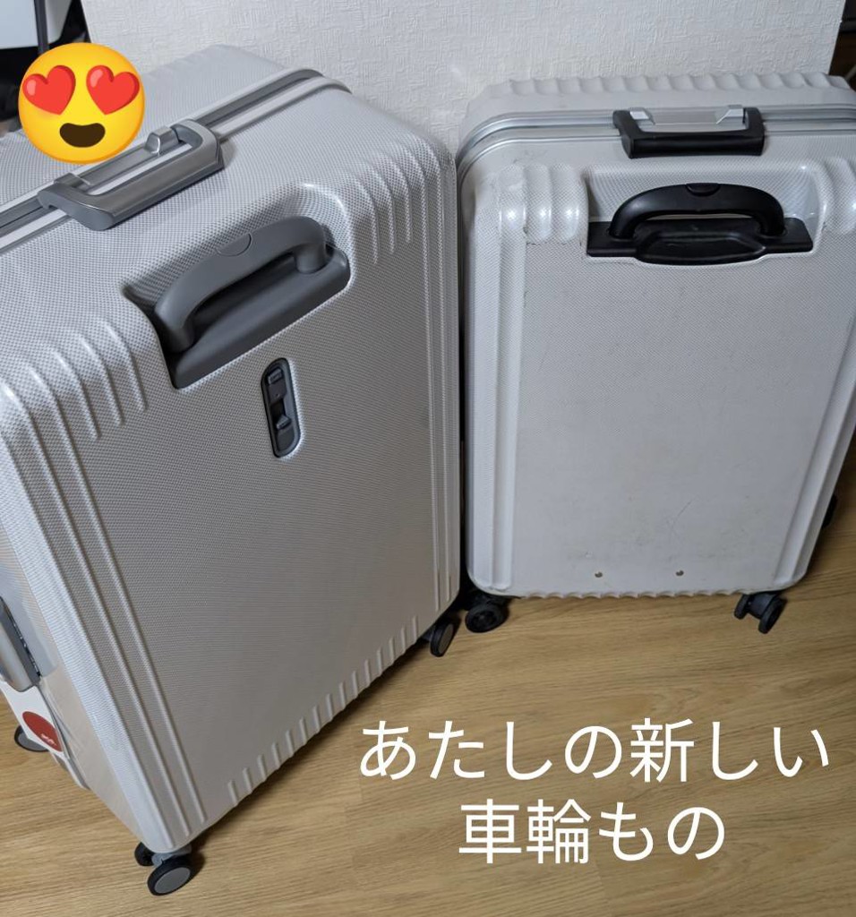 投稿写真