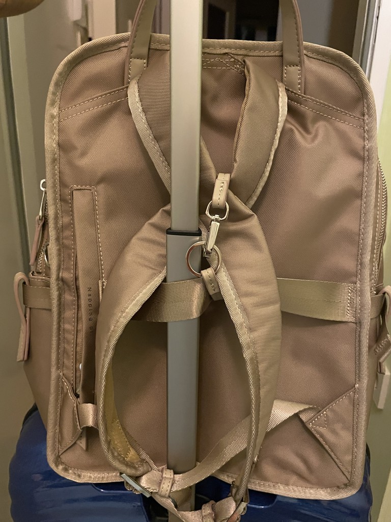 ユーザー写真