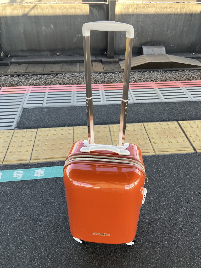 投稿写真