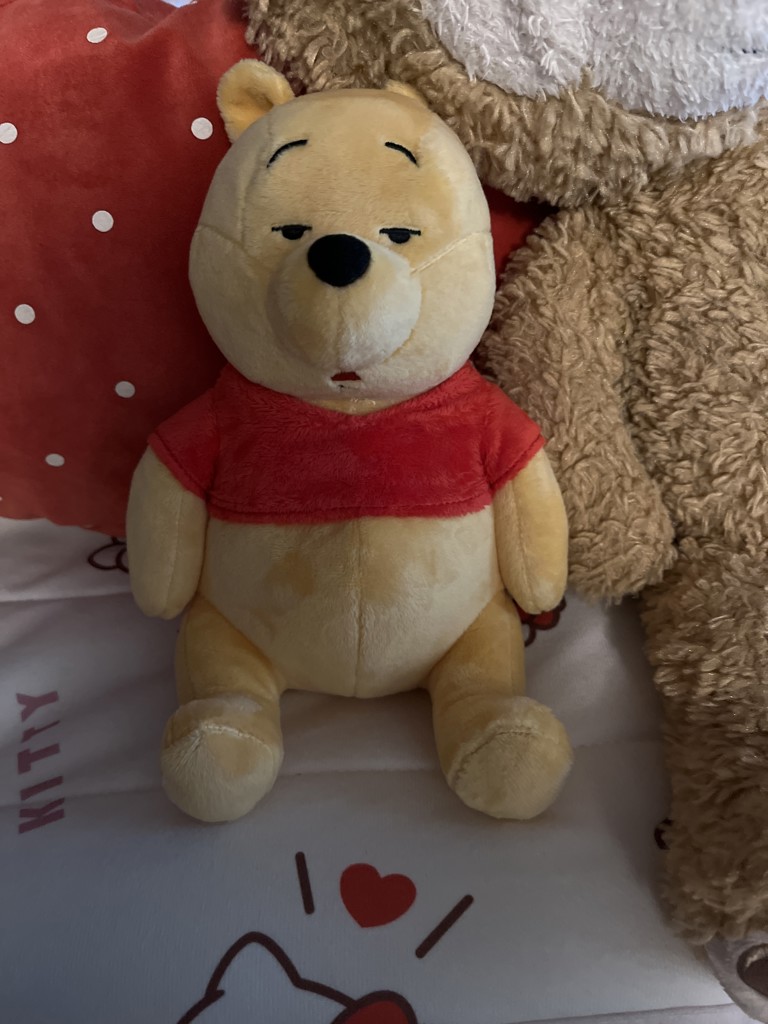 ディズニーキャラクター ファニーフェイス ぬいぐるみS くまのプーさん