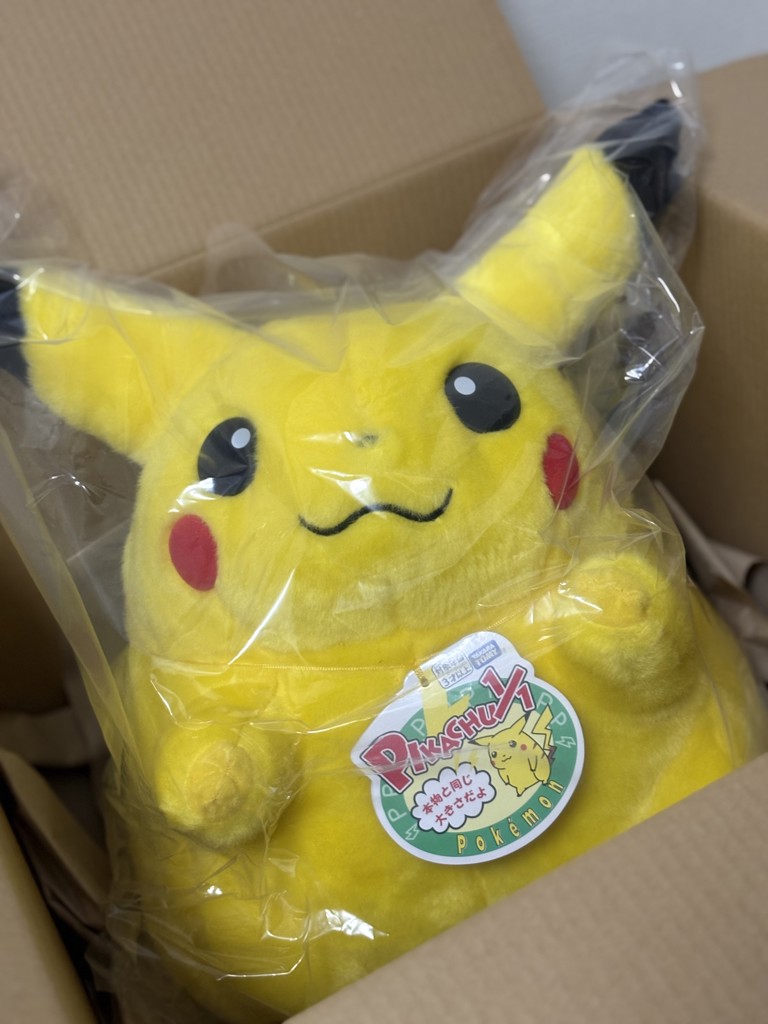 抽選販売8月上旬お届け】ポケットモンスター ポケモン30周年記念