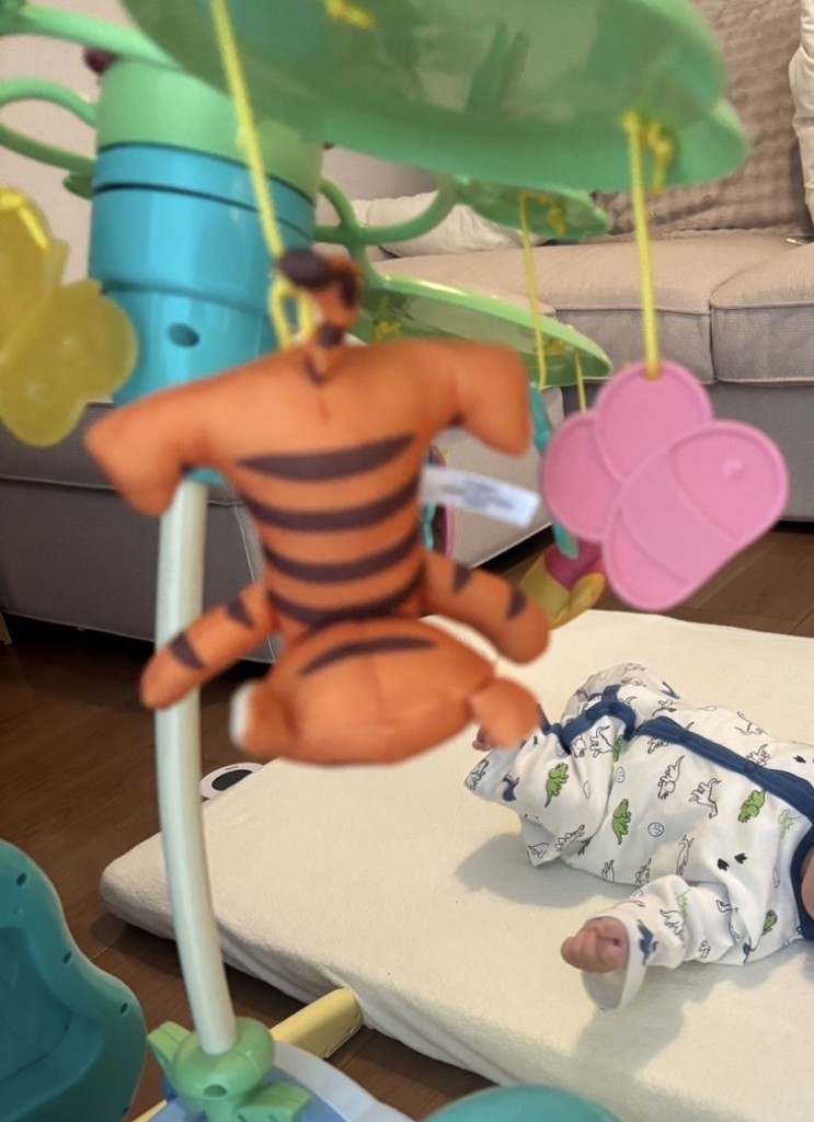 えらべる回転 6WAYジムにへんしんメリー プラス くまのプーさん