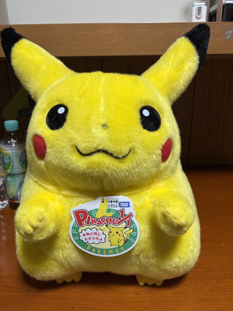 抽選販売8月上旬お届け】ポケットモンスター ポケモン30周年記念