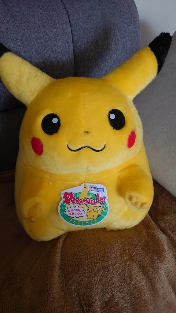 抽選販売8月上旬お届け】ポケットモンスター ポケモン30周年記念