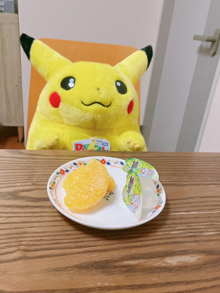 抽選販売8月上旬お届け】ポケットモンスター ポケモン30周年記念
