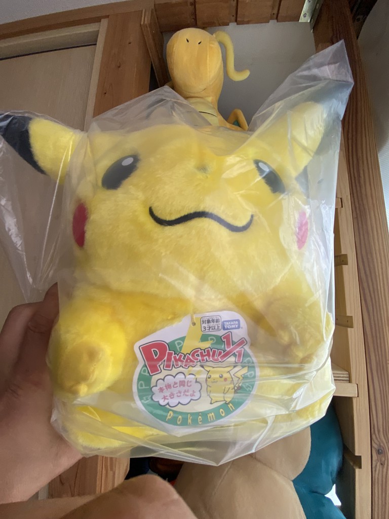 ポケットモンスター ポケモン30周年記念 おかえり！ピカチュウ1/1